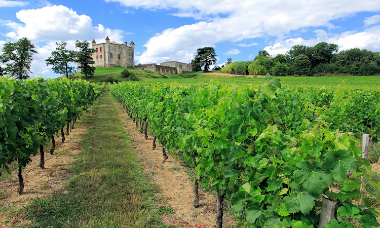 burdeos vino frances